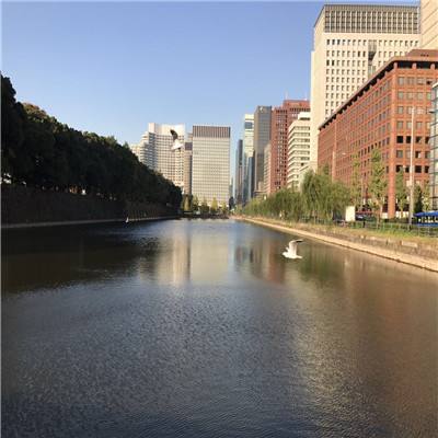 bat软件下载官方