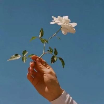 188金宝慱亚洲体育官网手机版下载